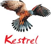 Kestrel logo